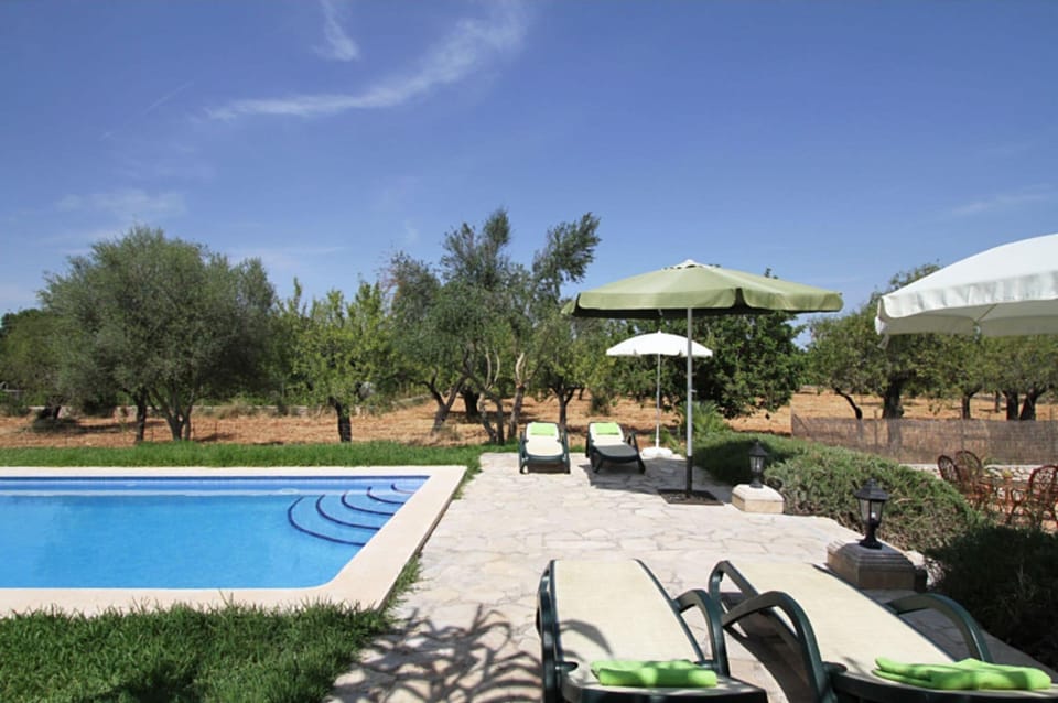 Holiday Home Swimming Pool