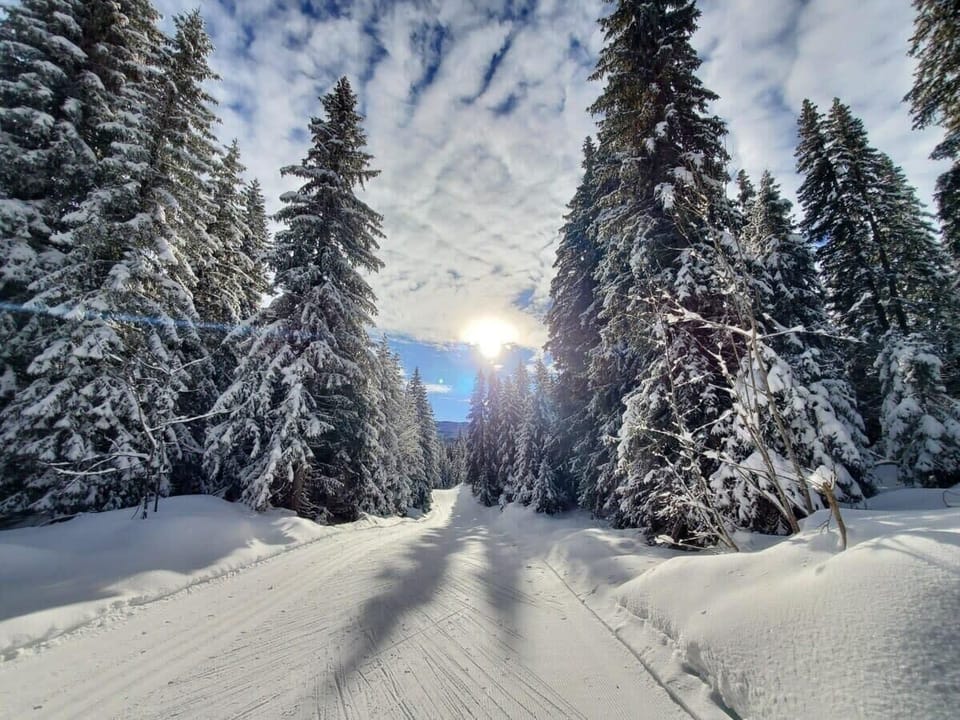 Snow and ski sports