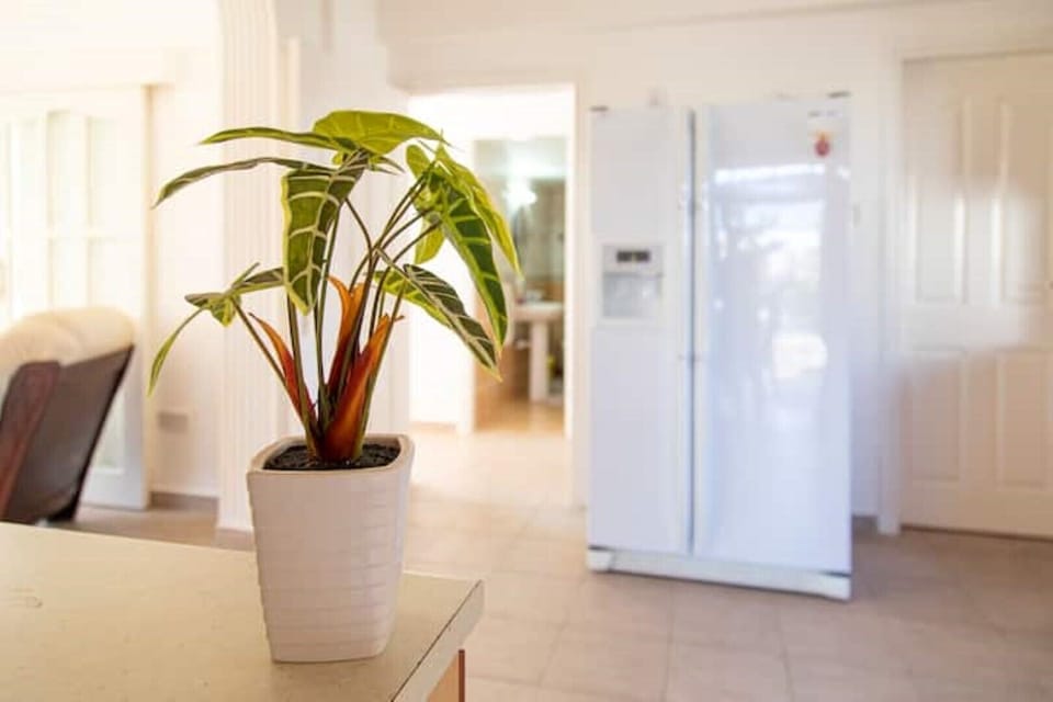 Large double fridge freezer