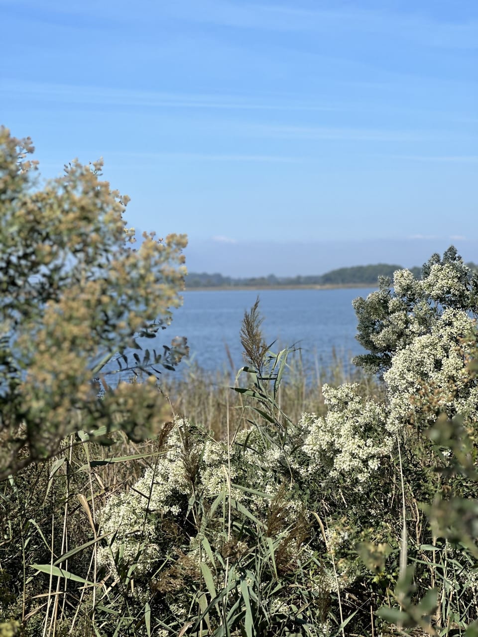 Beautiful nature trails in Eastern Neck Wildlife Refuge