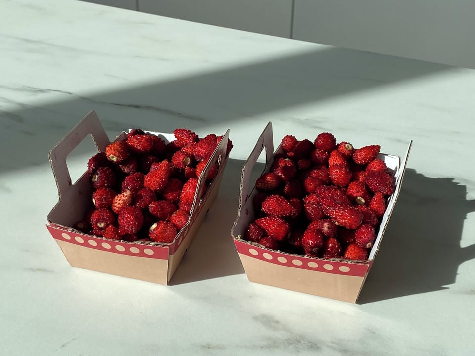 on the way back from snorkeling be sure to grab some wild strawberries 