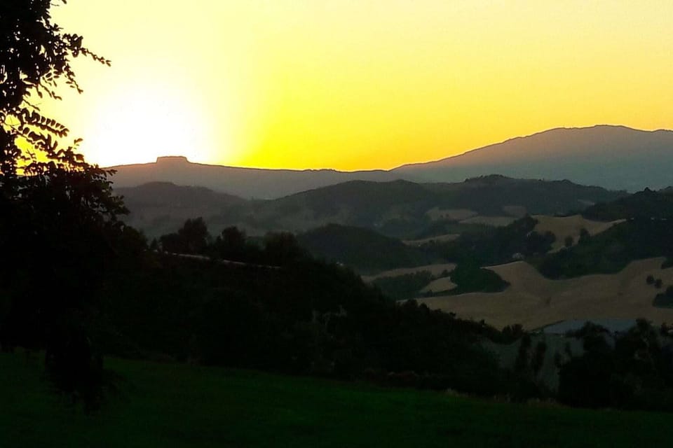 Region [summer] (>5 km)