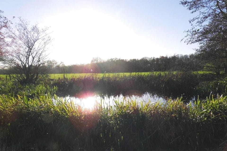 Surroundings [summer] (1-5 km)