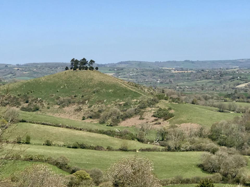 The Billy Shed, Eype: Nearby Colmers Hill, an iconic site