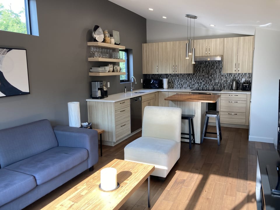 Living room and kitchen