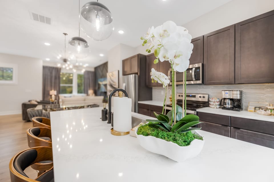 Kitchen and living area