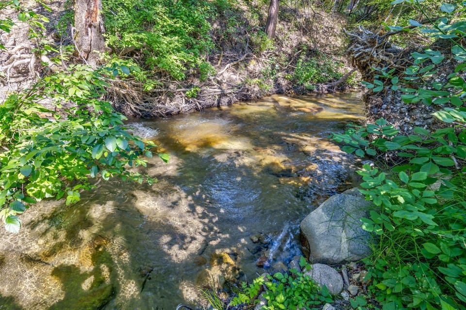 150 feet of frontage on Lewis Creek which runs year round.