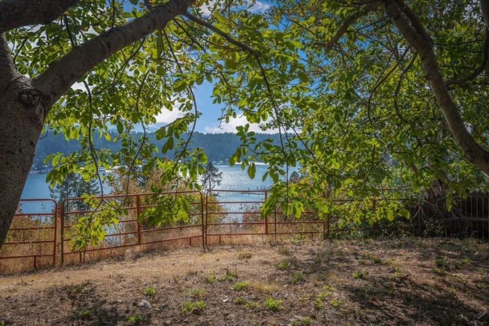 LAKEVIEW FROM THE FRUIT TREES AREA OF THE YARD
