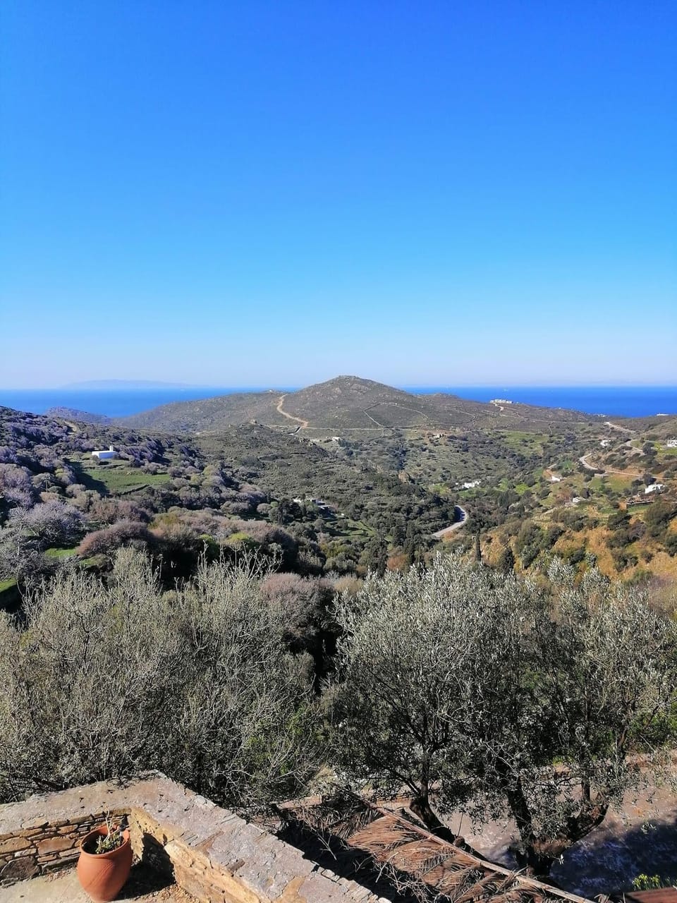 View from property