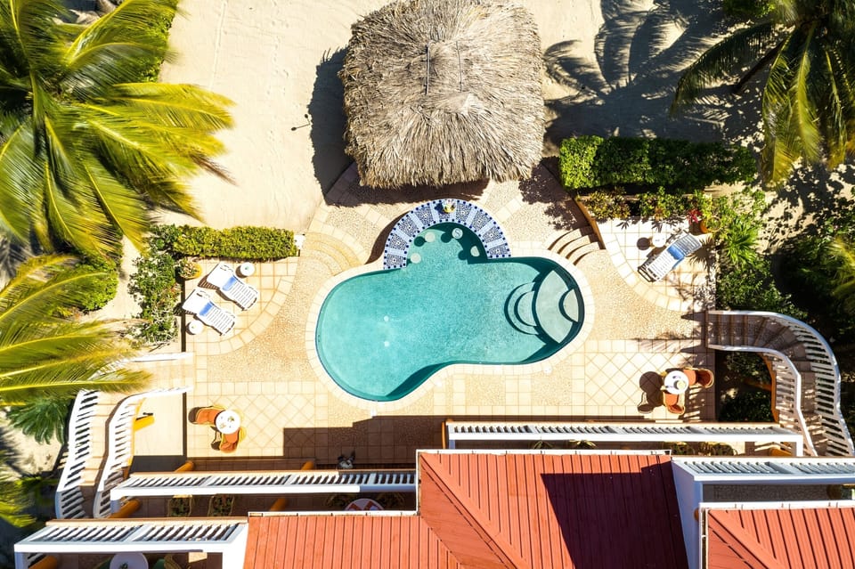 Birds Eye