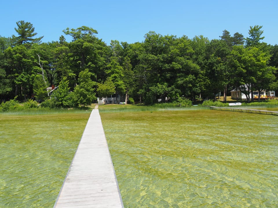 EXTERIOR:  Another view from the end of the dock looking back at the cottage.