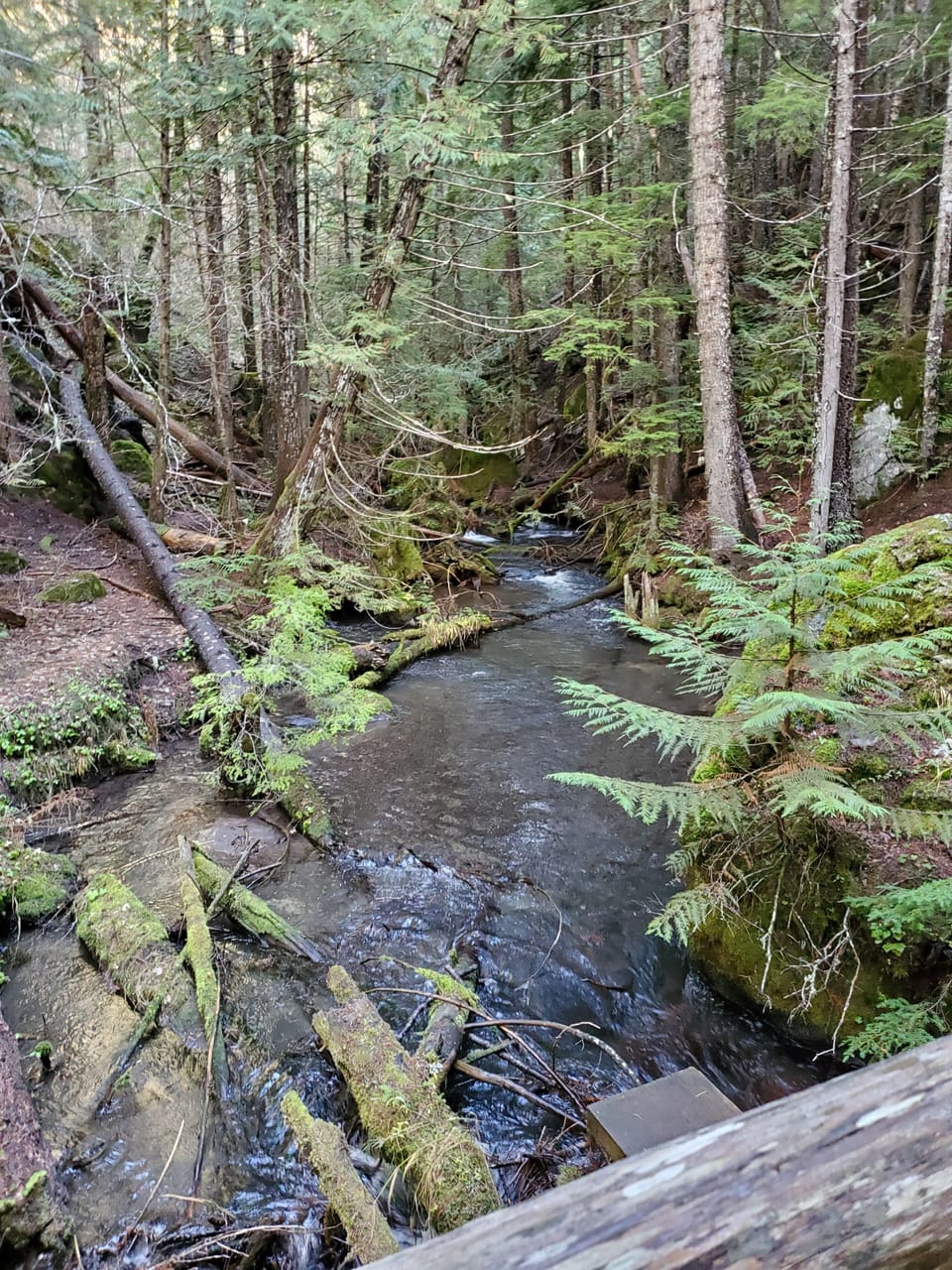 We love hiking, biking, fishing, picking berries and mushrooming.