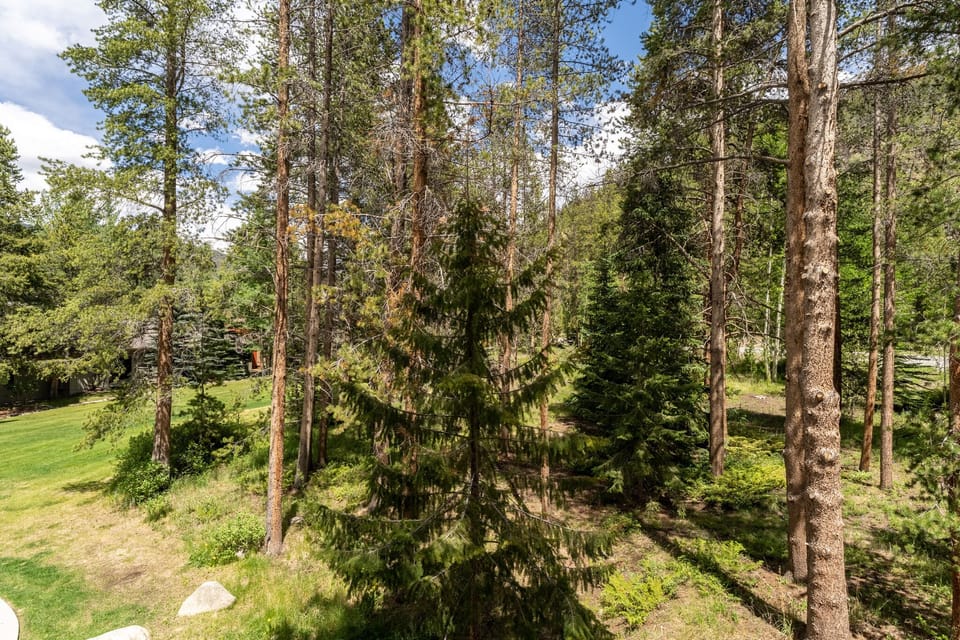 Private balcony offering mature pine tree views.
