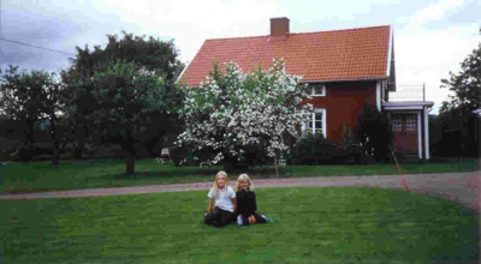 garden of the holiday accommodation