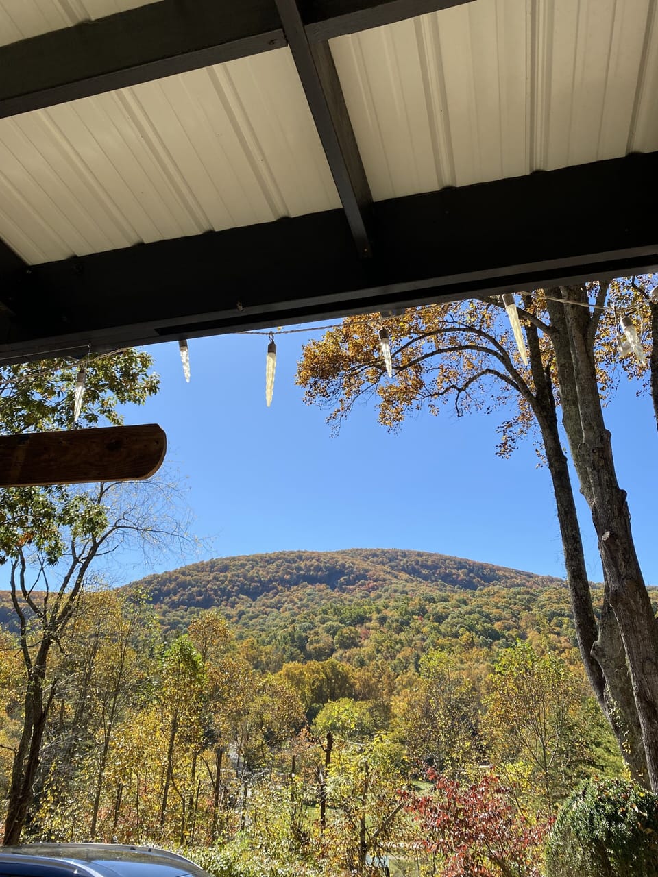 View from property