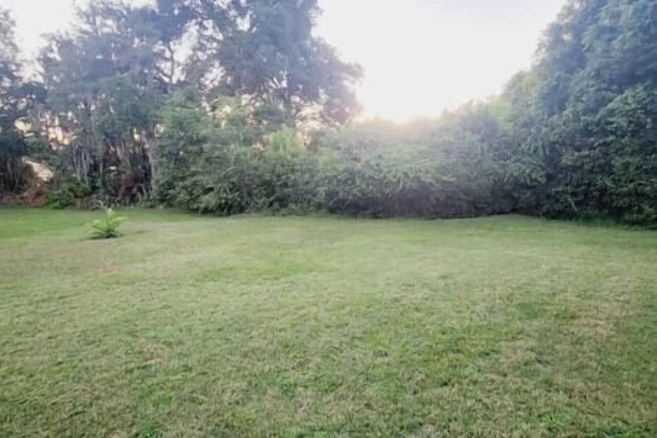 Explore our lawn and back-wooded area