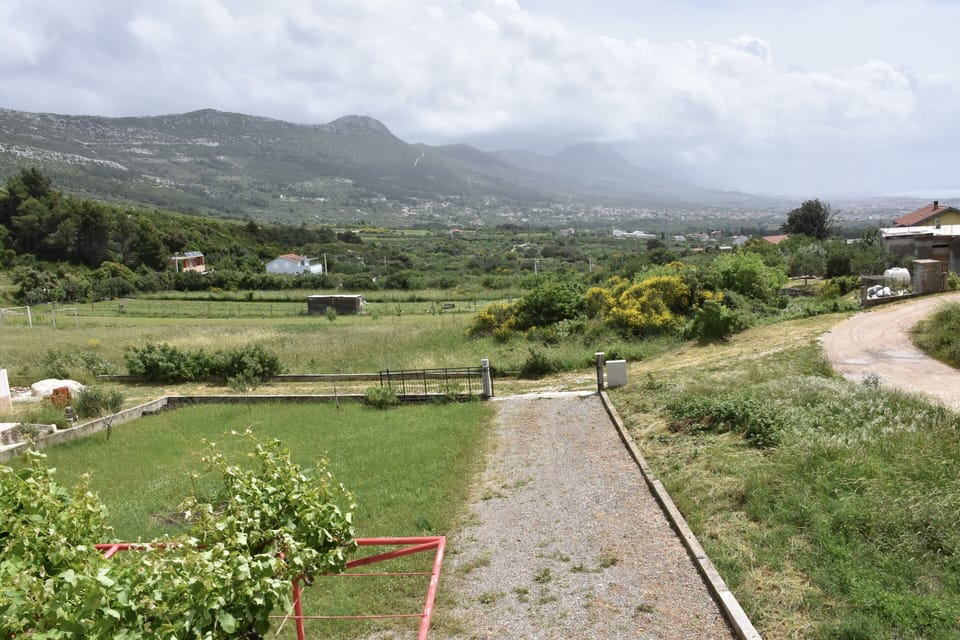 Area