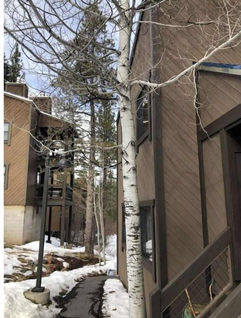 Yes we have Aspen!