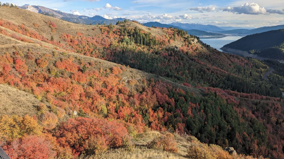 Surreal Fall Colors