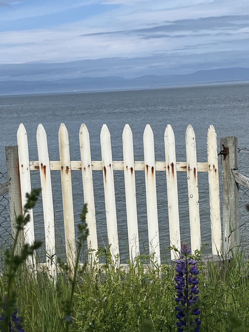 View from property
