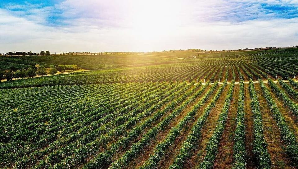 At Niagara House you are in the heart of wine country!