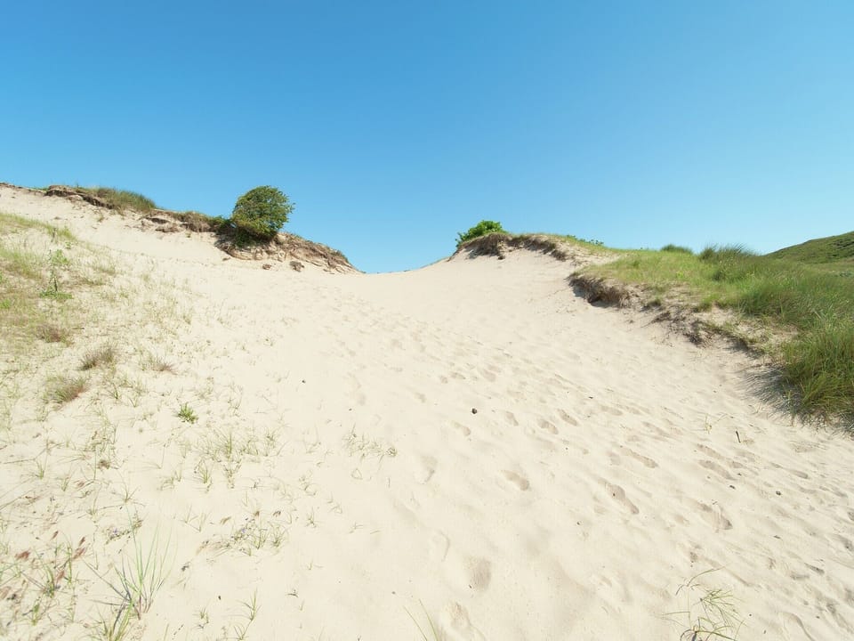Region [summer] (>5 km)