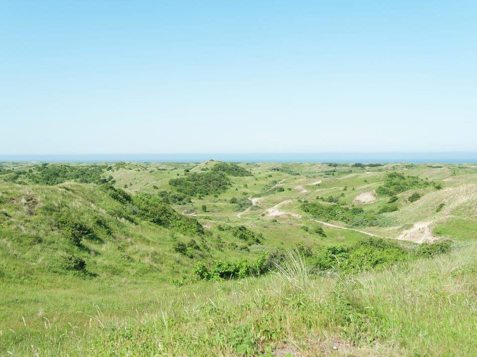 Region [summer] (>5 km)