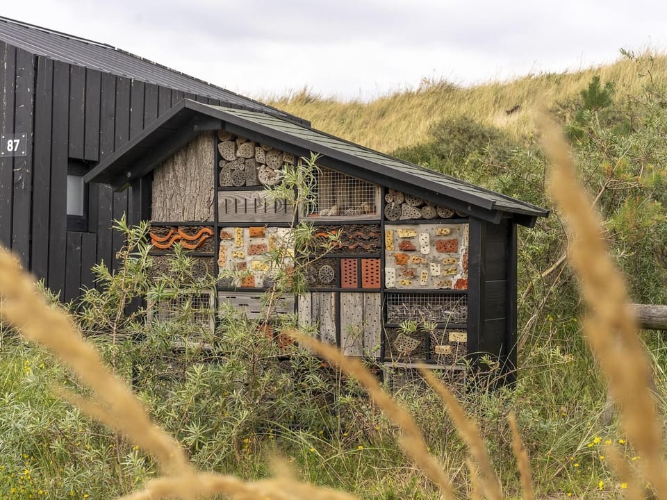 Holiday Park Facilities and Services 
