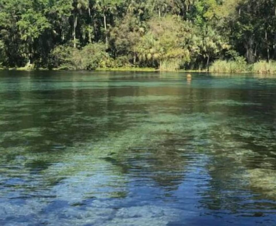 Springs are plenty in our area.
