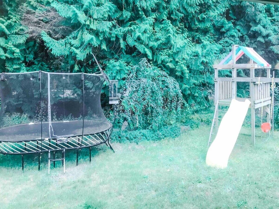 Lots of backyard fun!