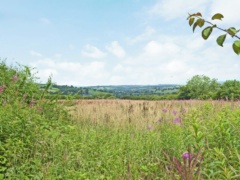 View | Lower Barn, Dolgran