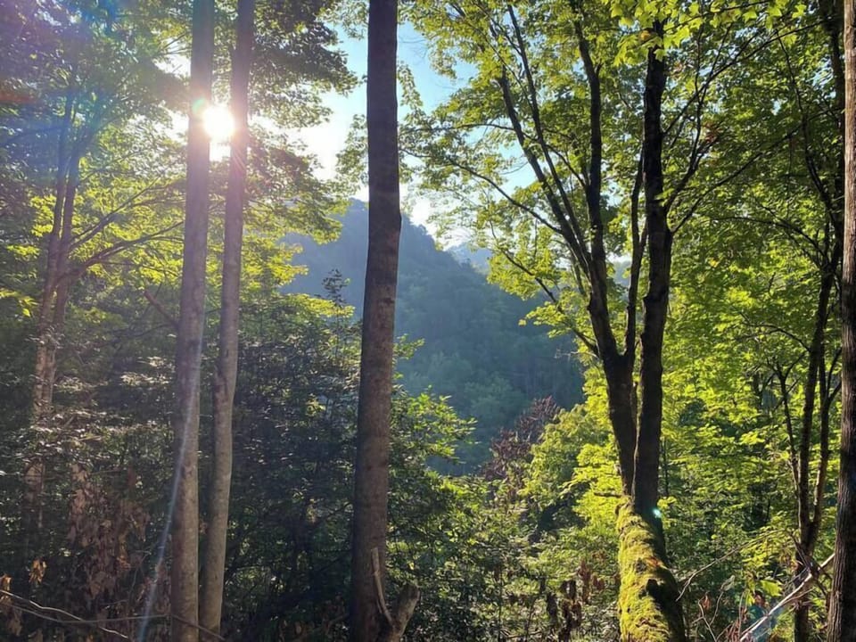Luxury cozy cabin bryson city 3 little bears retreat 29 mountain view