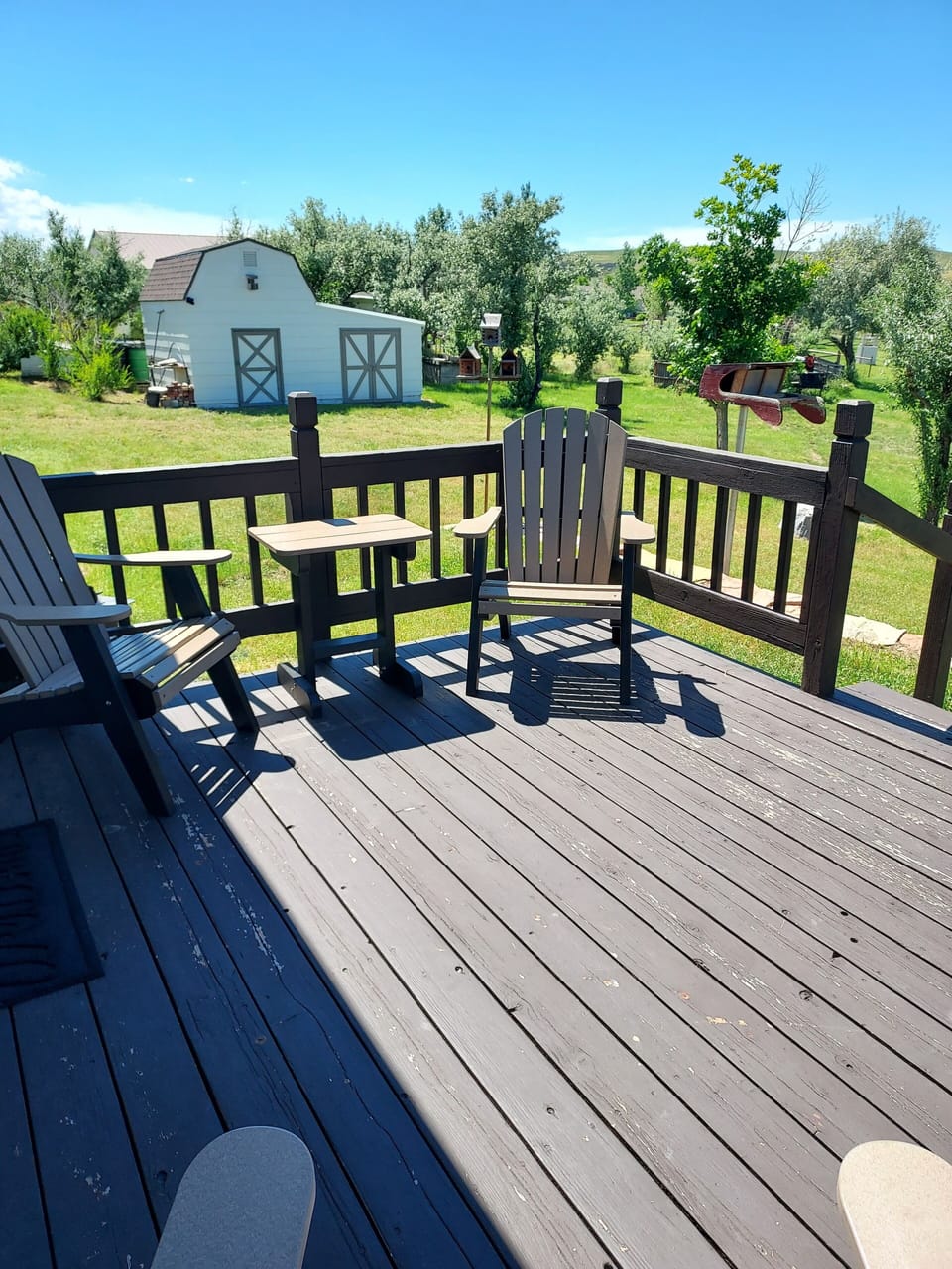 Back Deck