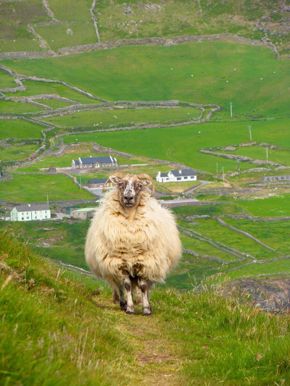 Slea Head 