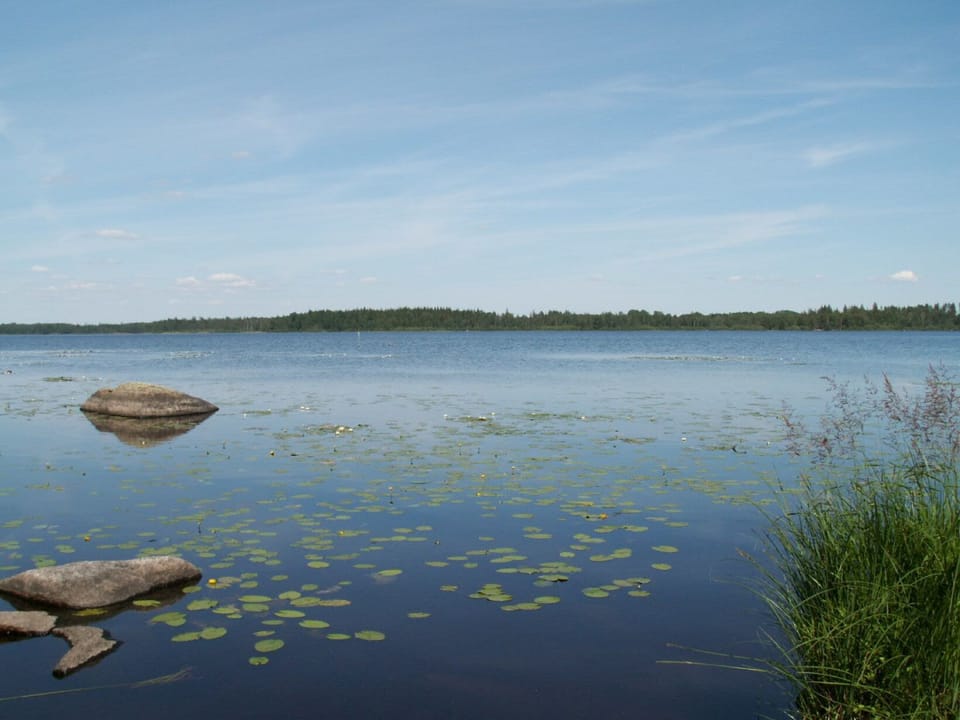 the lake
