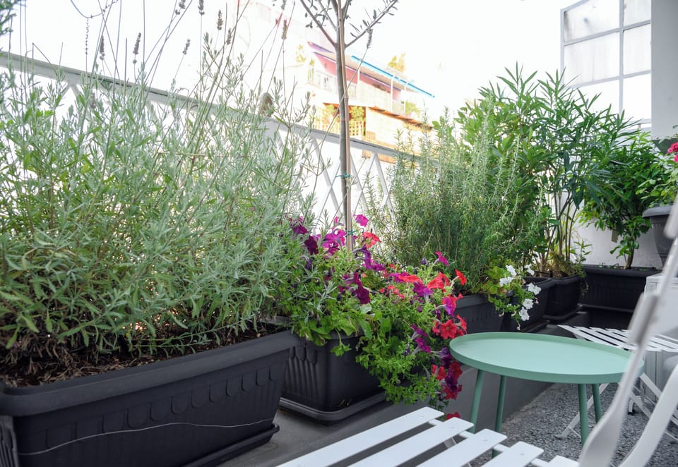 Terrace/patio