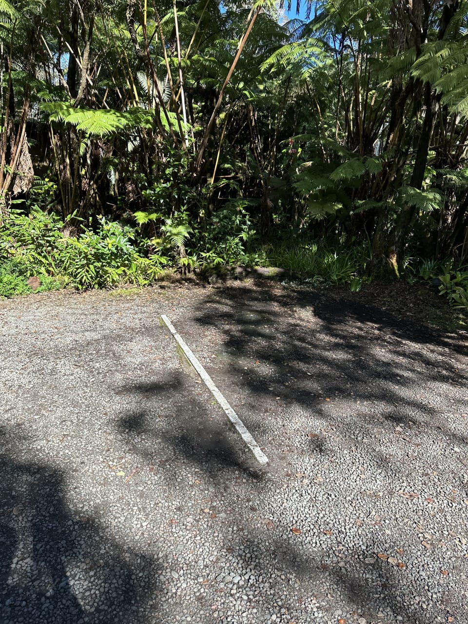 Only 1 vehicle per unit