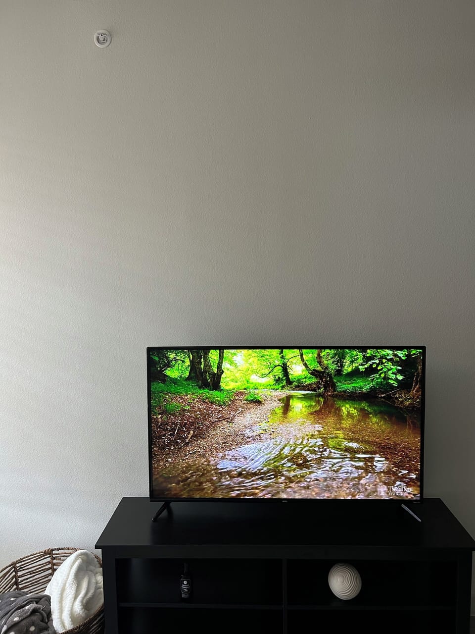 Television