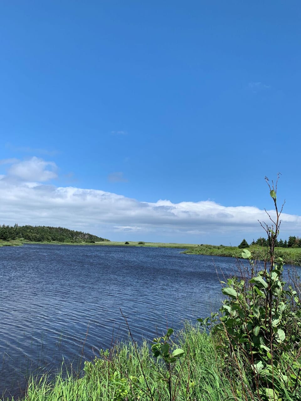 View of Sutherland`s Pond from the nature trail