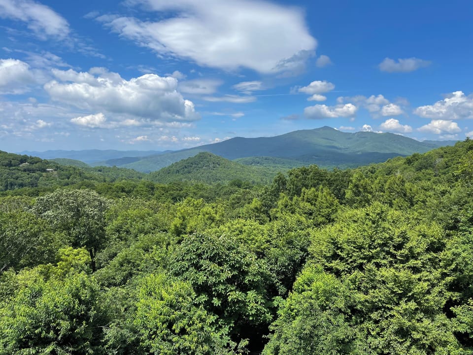 Boundless Blue Ridge views from the back deck & every room in the house!