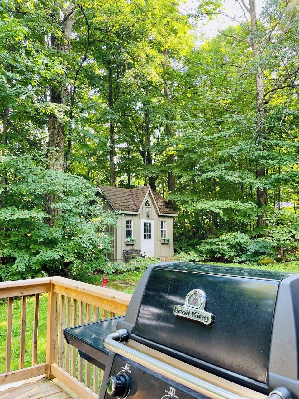 Outdoor BBQ with view of bunkie