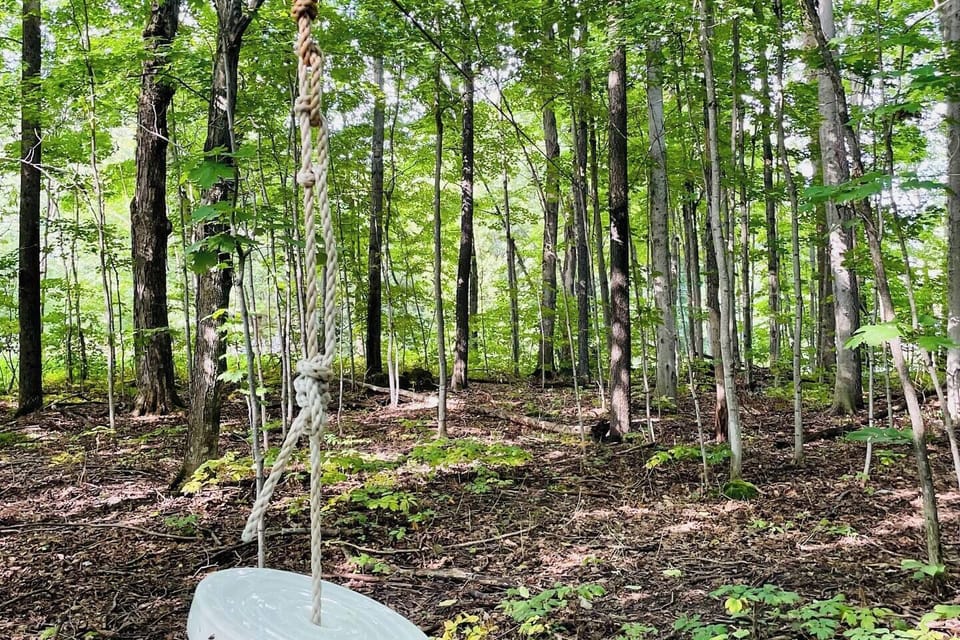 A zipline in our private forest