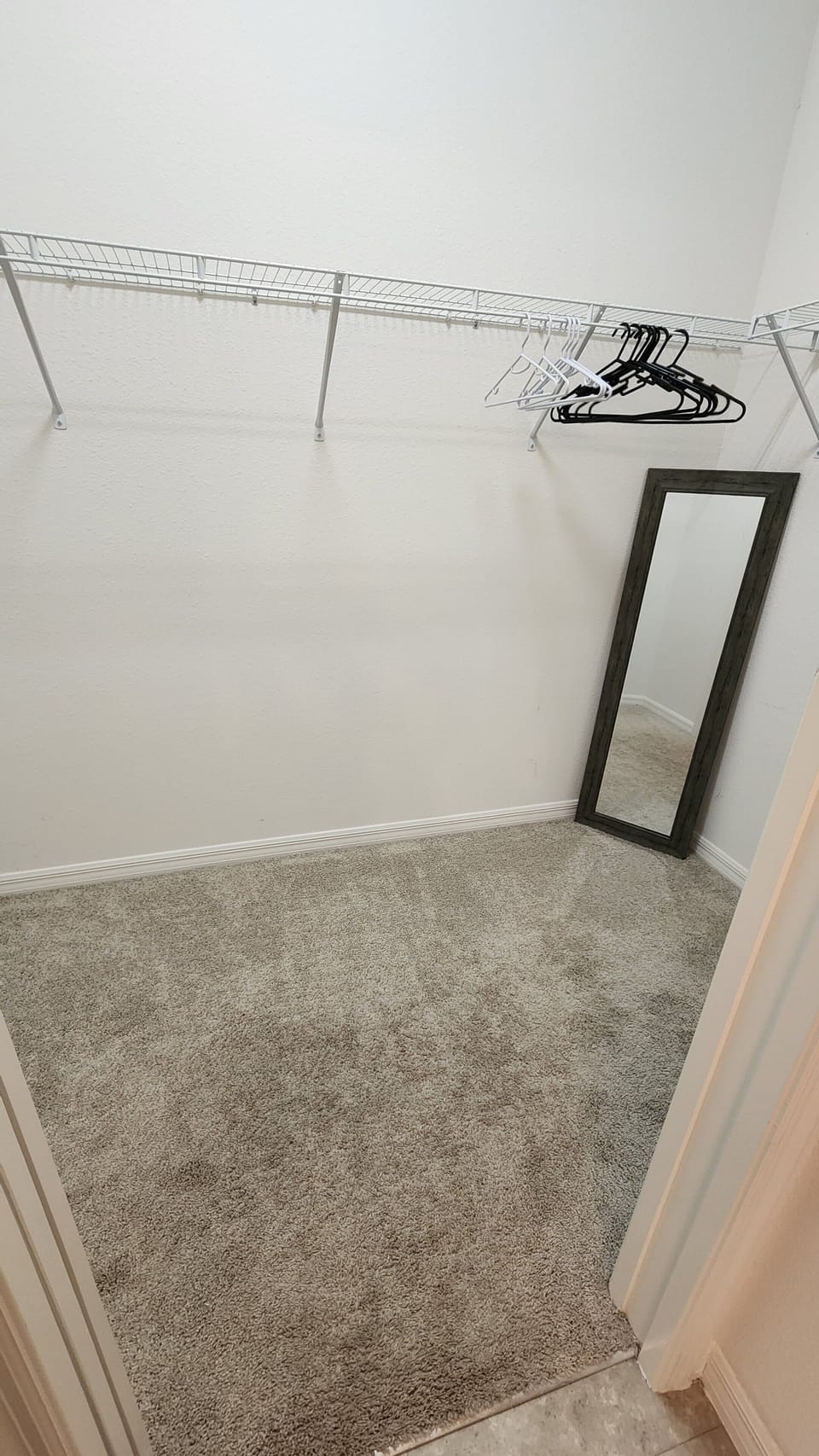 Large, walk-in closet