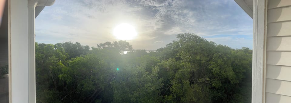 Sunrise view overlooking the mangroves and east bay waters.