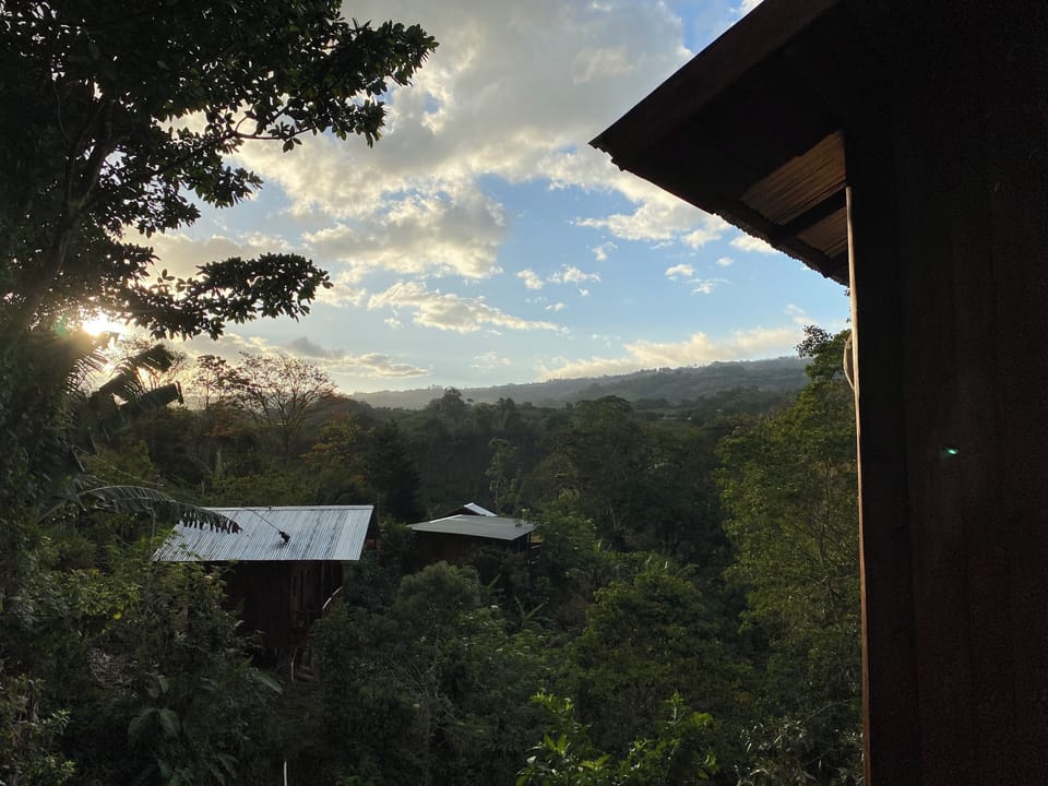 View from property