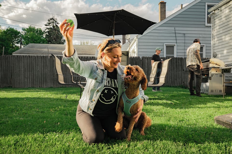 Bring your dog! Fenced in yard. Dog bowls, treats and doggie bags inside.