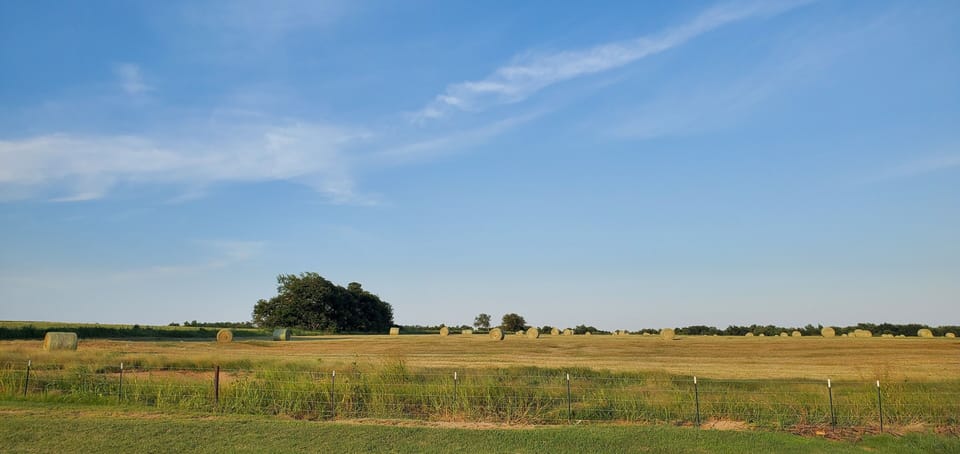 Back yard view of neighboring pasture