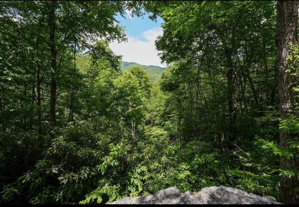 View from Upstairs Loft