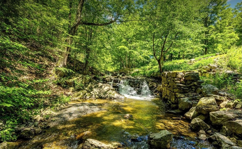 Falls in creek with the old mill foundation on the right. 