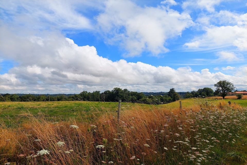 Region [summer] (>5 km)